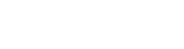 The Link Garage